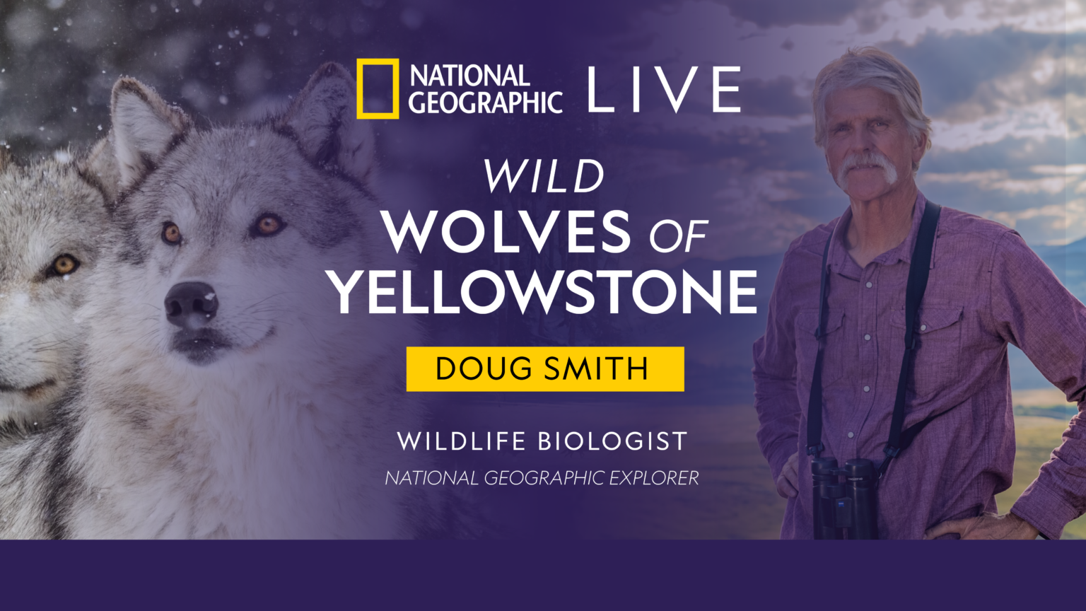 Wolves Of Yellowstone Full Documentary Discovery Channel National Geographic Live: Wild Wolves of Yellowstone - Onstage Ogden